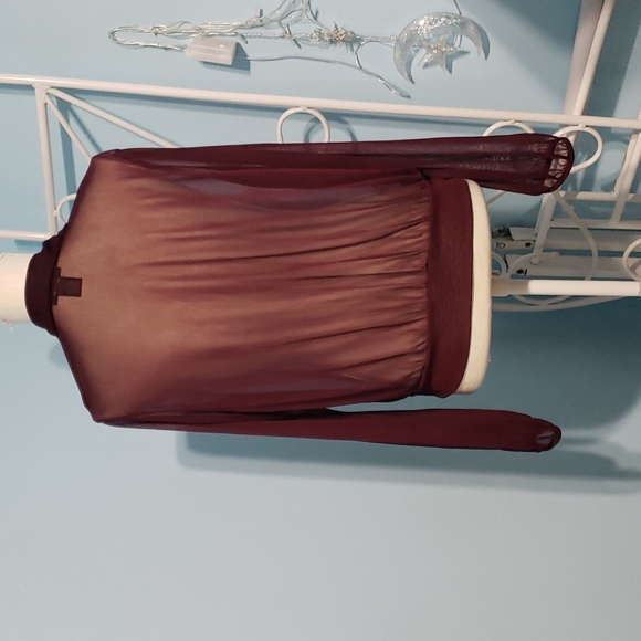 Express Sheer Deep-V Top - Picture 5 of 7